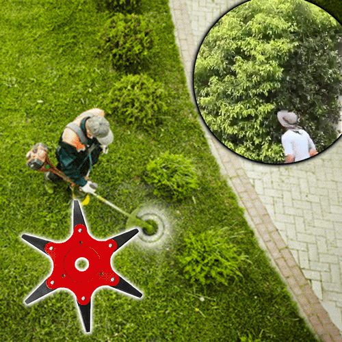 🌟 Officiële winkel | AEXZR® 6 stalen scheerkop