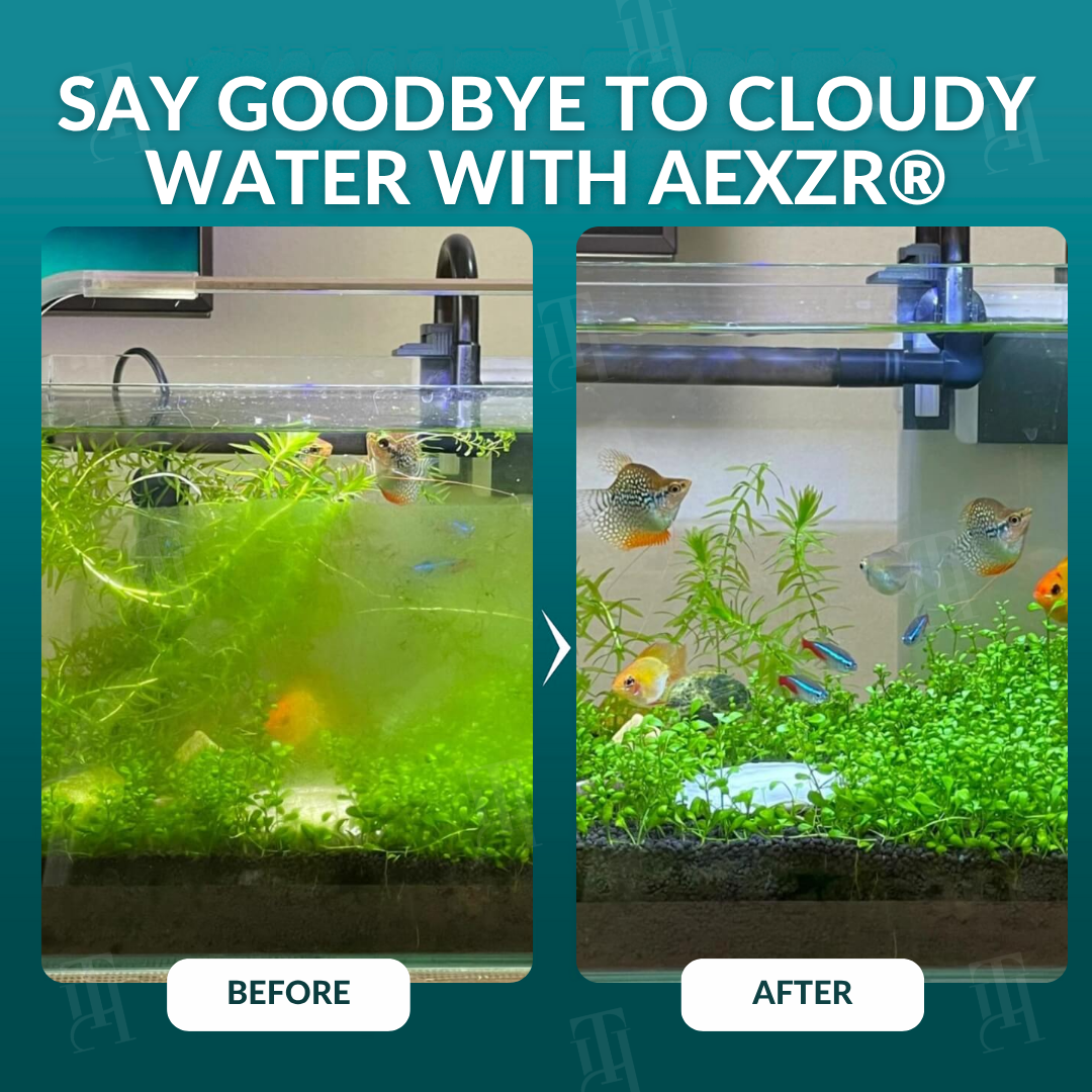 AEXZR® Aquariums Aqua-Guardian Blend