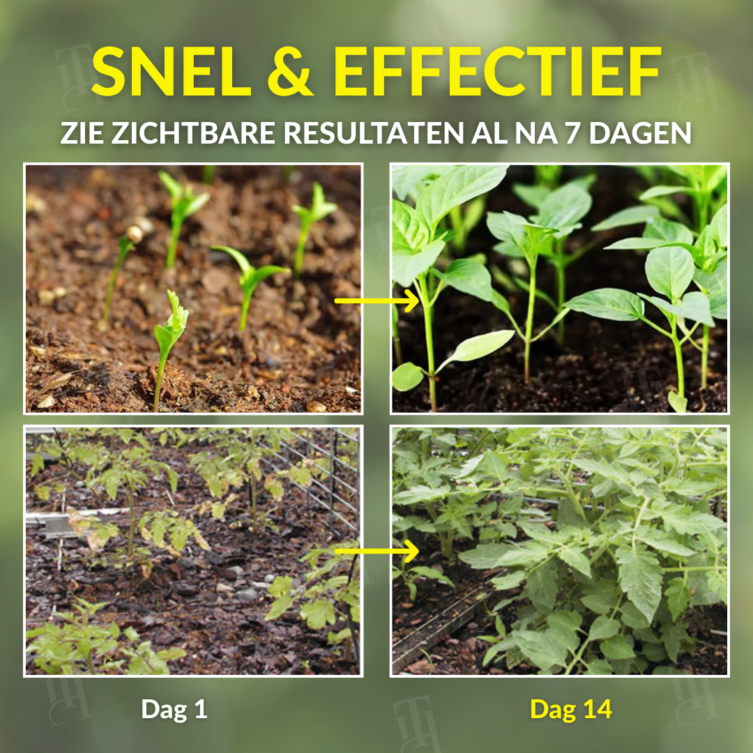 AEXZR® 2 in 1 Vita-Enzym Opløsning