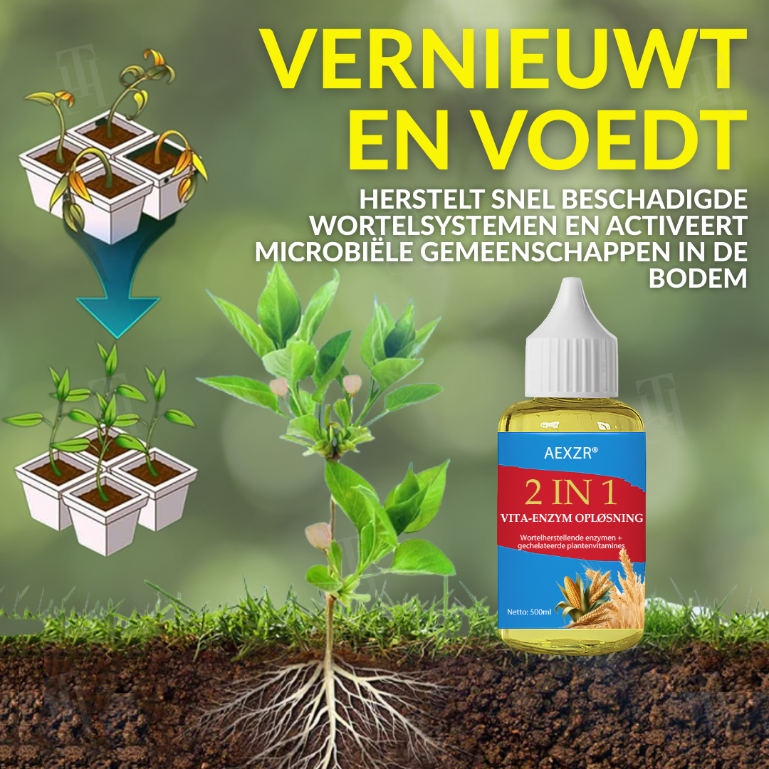 AEXZR® 2 in 1 Vita-Enzym Opløsning