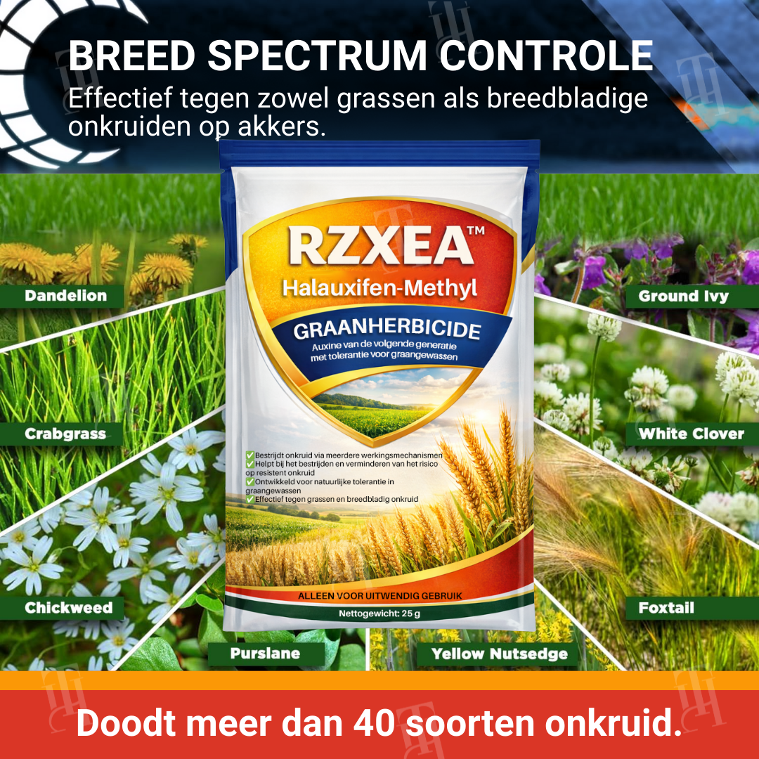 RZXEA™ Halauxifen-methyl Graanherbicide