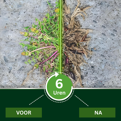 AEXZR® 2-in-1 Max Power Onkruidverdelger