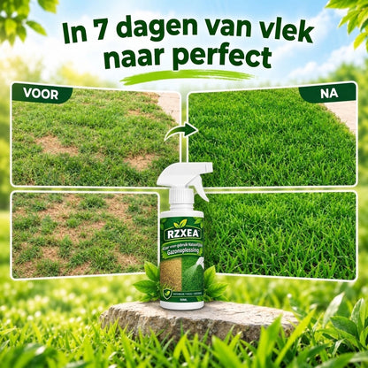 🏆 Nieuwe Upgrade | RZXEA™ Gebruiksklare Natuurlijke Oplossing Voor Gazons
