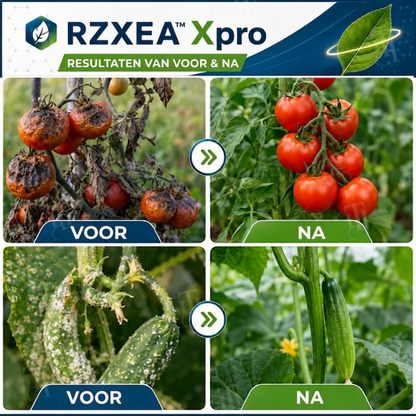 🌟 Officiële winkel | RZXEA™ Xpro Prothioconazol Systemisch Fungicide