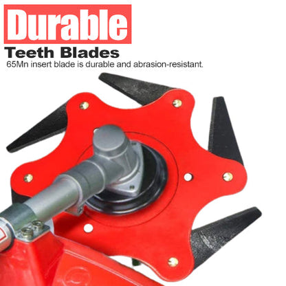 🌟 Officiële winkel | AEXZR® 6 stalen scheerkop