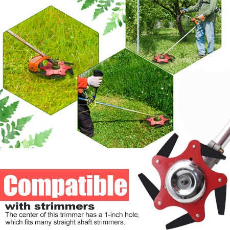 🌟 Officiële winkel | AEXZR® 6 stalen scheerkop